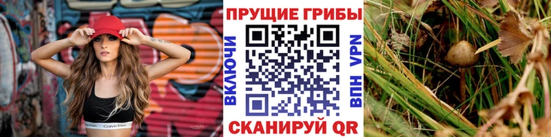 Галлюциногенные грибы GOLDEN TEACHER Раменское