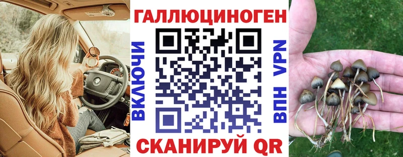 Псилоцибиновые грибы мицелий  Раменское 